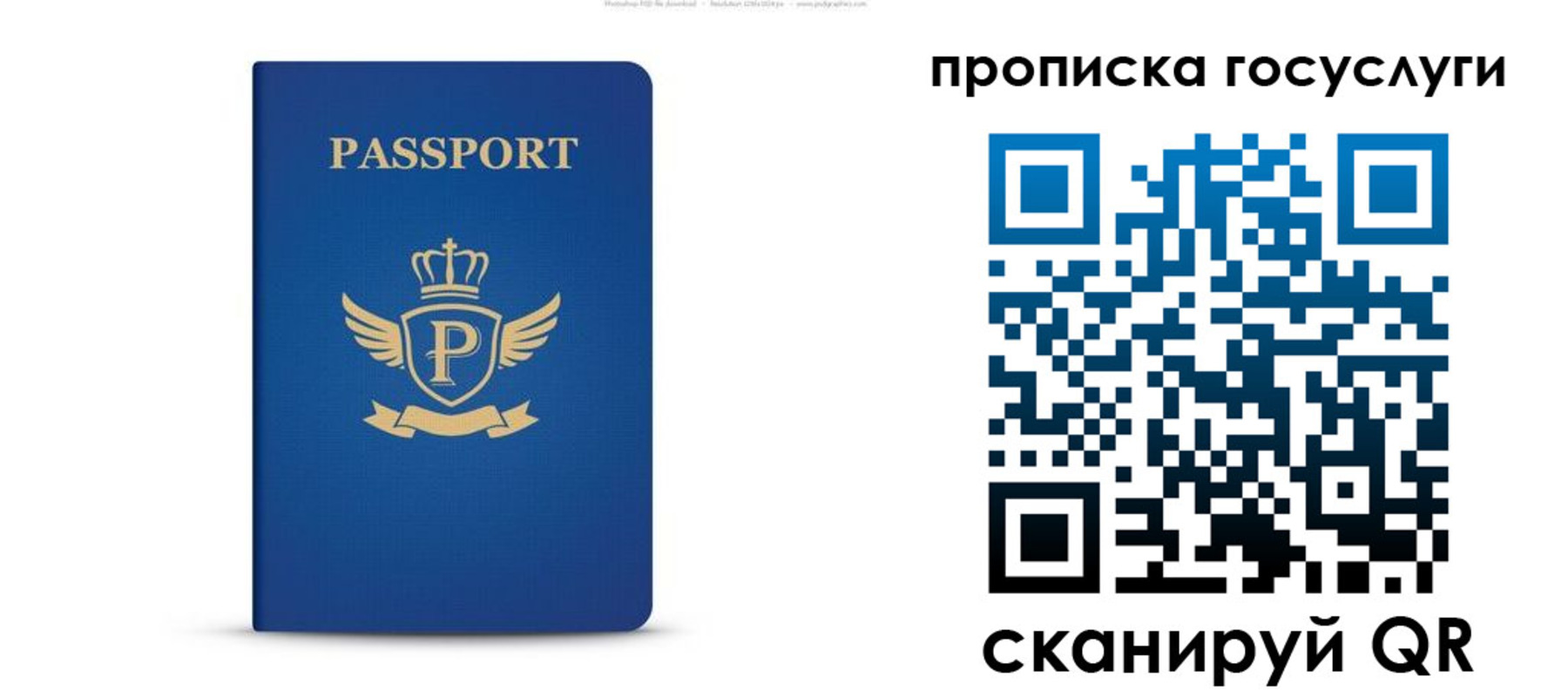 прописка для школы в Ненецком АО